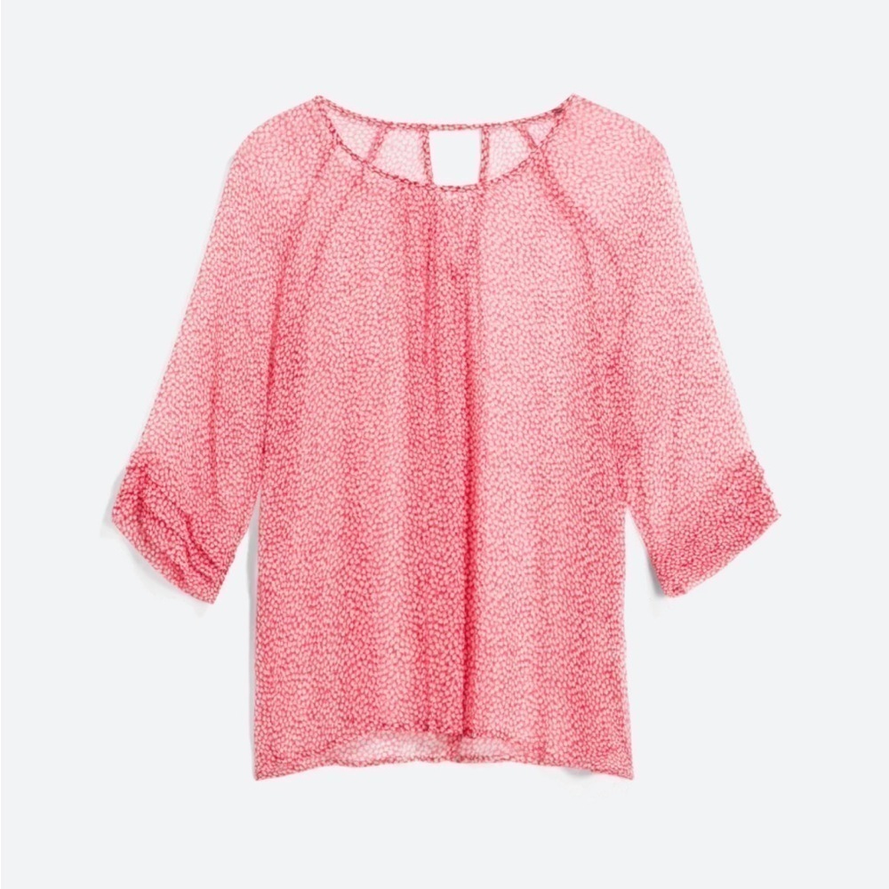 Paradigma size XL